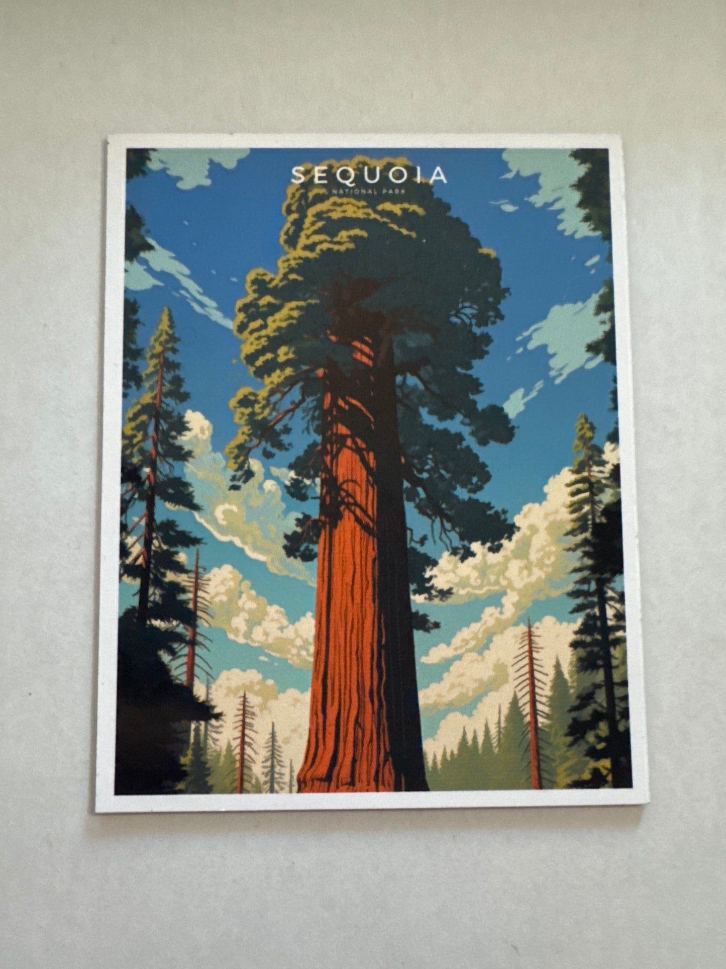 Sequoia