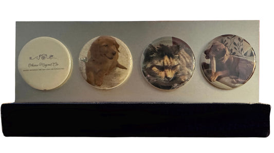 Tabletop Magnet Displays